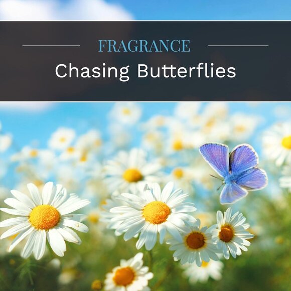 Everday Chasing Butterflies Scented Candle, 18 oz. Aromatherapy Candle, Off-Whit - Picture 4 of 9